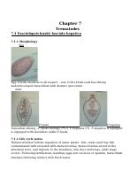 16.0 TREMATODES.doc